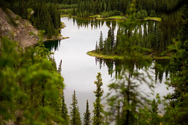a small lake surrounded by spruce trees