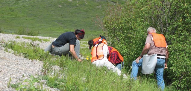 three people in safety vests kneeling by a gravel road three people in safety vests kneeling by a gravel road