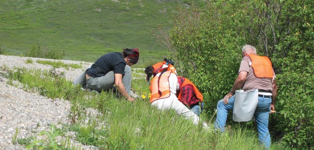 three people in safety vests kneeling by a gravel road