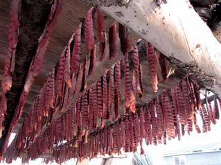 strips of salmon hanging from a ceiling rack strips of salmon hanging from a ceiling rack