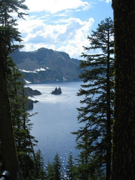 A view framed by vegetation to sparkling Crater Lake, surrounded by steep topography. 