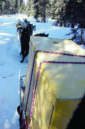 several dogs pulling a sled loaded with a large object