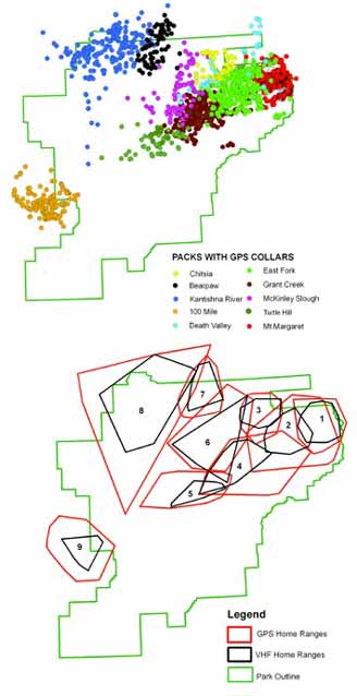 two line drawing maps of denali with various dots and polygons indicating wolf territories two line drawing maps of denali with various dots and polygons indicating wolf territories