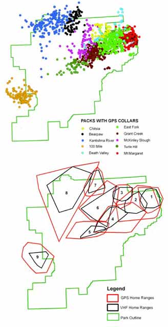 two line drawing maps of denali with various dots and polygons indicating wolf territories