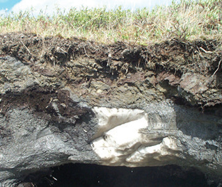 cross-section view of soil with a big mass of ice below dirt and grass cross-section view of soil with a big mass of ice below dirt and grass