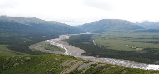 a thin river surrounded by spruce trees leading off toward two green mountains a thin river surrounded by spruce trees leading off toward two green mountains