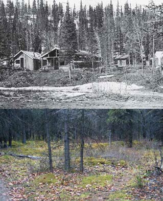 image of old log buildings in a forest, and another of the same forest with no buildings