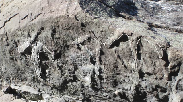 closeup of fossililzed footprints in rock, edited with white lines to help indicate them