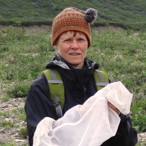 Researchers holds a bug net in the tundra