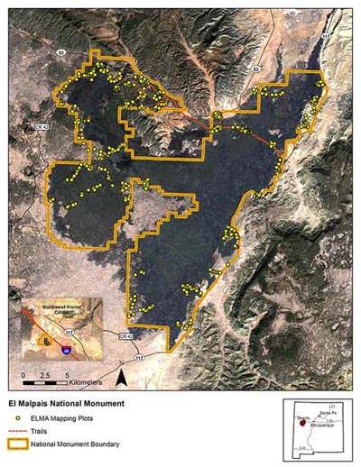 Vegetation plots used for the classification and mapping of El Malpais NM