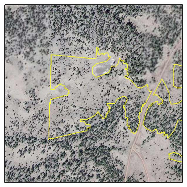Aerial photo of Pinyon-Juniper/Blue Grama Lava Woodland Savanna map unit at El Malpais NM