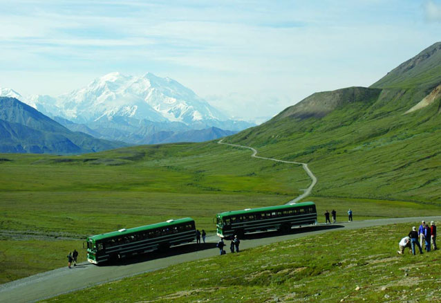 two green buses parked on a grassy hill with people standing around taking photos