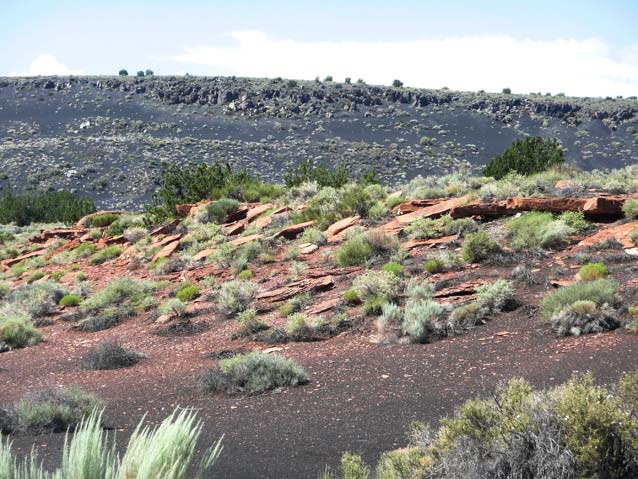 An outcropping in the red sandstone in the midground is where water that feeds the spring collects. An outcropping in the red sandstone in the midground is where water that feeds the spring collects.