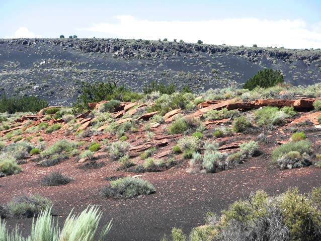 An outcropping in the red sandstone in the midground is where water that feeds the spring collects.