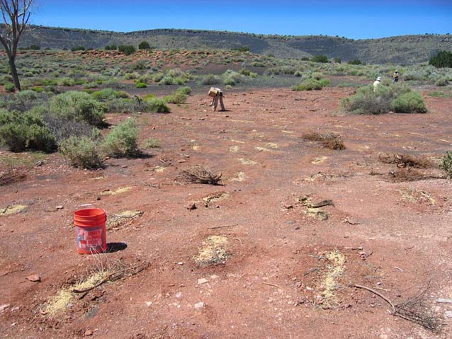 Pumpshack at Heiser Spring during revegetation efforts. Pumpshack at Heiser Spring during revegetation efforts.
