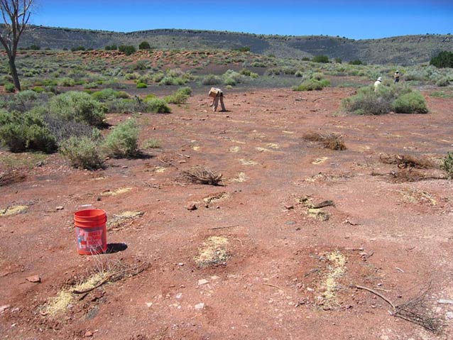 Pumpshack at Heiser Spring during revegetation efforts.