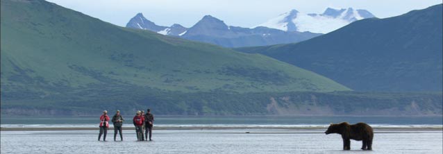 five people standing near a grizzly bear on a tidal flat or river