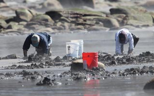 two people digging in stand with buckets nearby two people digging in stand with buckets nearby