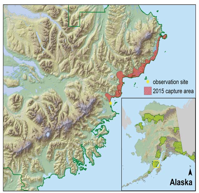 relief map of a rugged coastline with an inset map of alaska relief map of a rugged coastline with an inset map of alaska