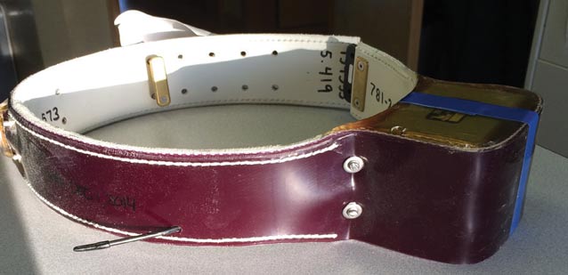 closeup of a thick plastic collar closeup of a thick plastic collar