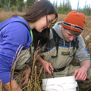 Student in waders kneel in a wetland and make observations Student in waders kneel in a wetland and make observations