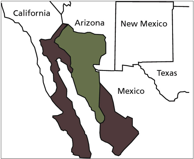 Saguaro cactus range map Saguaro cactus range map
