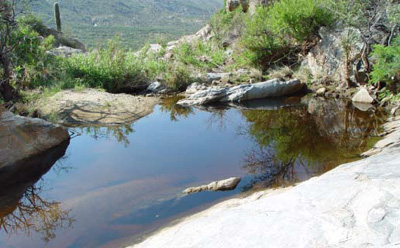 Tinaja surveyed during project at Saguaro National Park