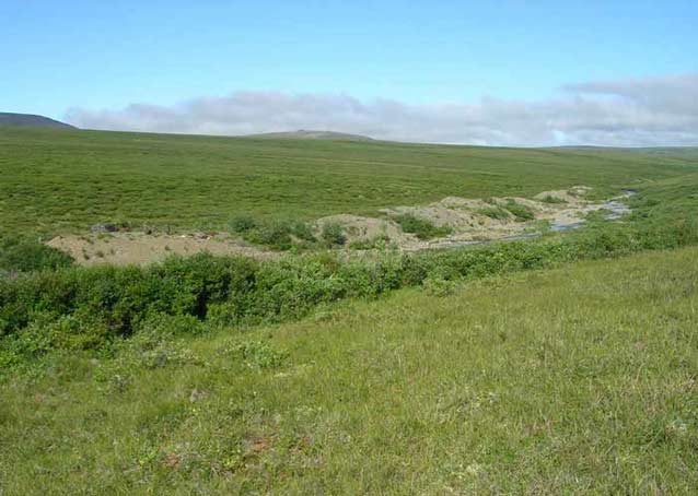 tree-less green landscape under a blue sky