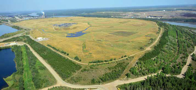 aerial view of a meadow
