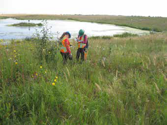 two people standing in a meadow near a pond