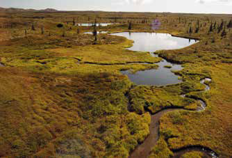 small ponds small ponds