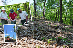 Forested hill-top with inset photos fire managers and communications infrastructure.