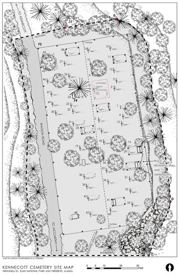 A site plan shows property boundaries, numbered grave sites, vegetation, and the road.