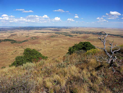 A shortgrass prairie at Capulin Volcano National Monument.