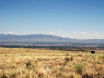 Grassland outside of a town.