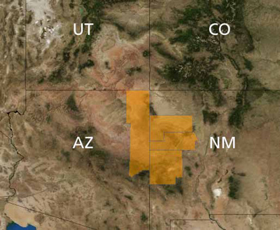 Map showing Arizona and New Mexico counties where Zuni fleabane occurs.