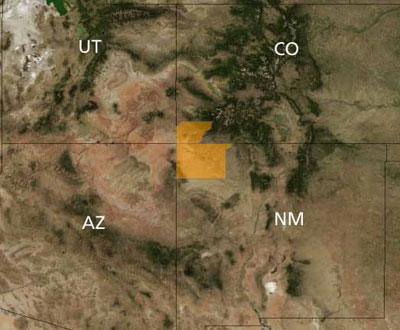 Map of Colorado and New Mexico counties where Mesa Verde cactus occurs.