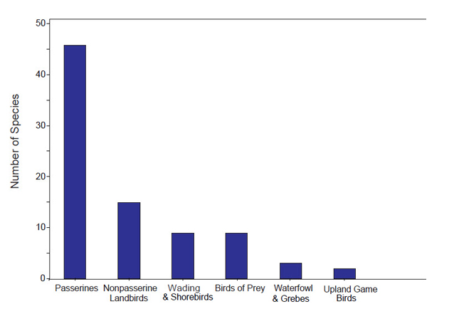 Graph of the number of species in each group recorded during the 2003 inventory. Graph of the number of species in each group recorded during the 2003 inventory.