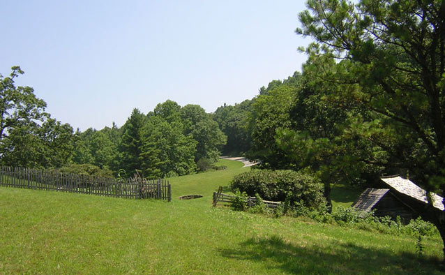 Beyond an open, grassy lawn, a road winds through trees and the roof of a cabin is visible.