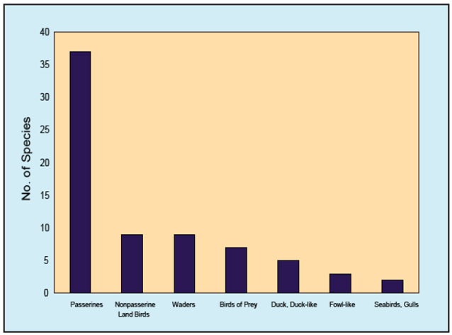 Graph of the number of species in each bird group recorded during 2001 & 2002 surveys. Graph of the number of species in each bird group recorded during 2001 & 2002 surveys.