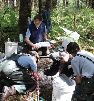 four people clustered around a hole in the ground