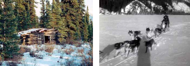 composite of two images; one of a log cabin in a snowy forest, other of a team of sled dogs composite of two images; one of a log cabin in a snowy forest, other of a team of sled dogs