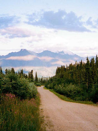 dirt road leading through forest toward distant mountains
