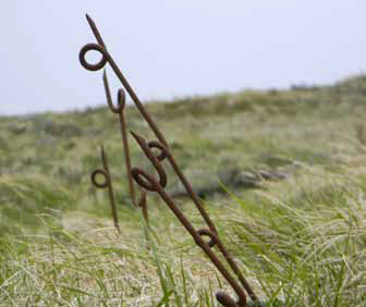 pointym, spiral metal stake pointym, spiral metal stake