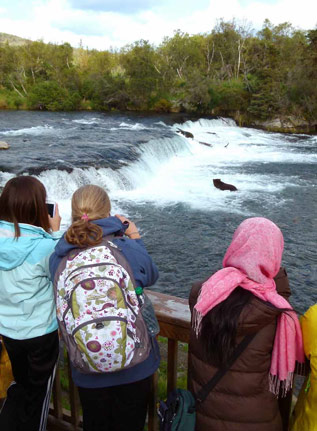 three people looking at bears in a river