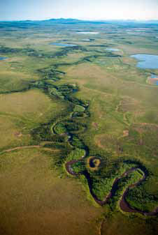 aerial view of a winding river