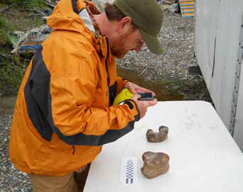 man holding smal fossils