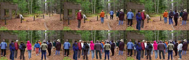 composite of six images each showing a forest with progressively more people