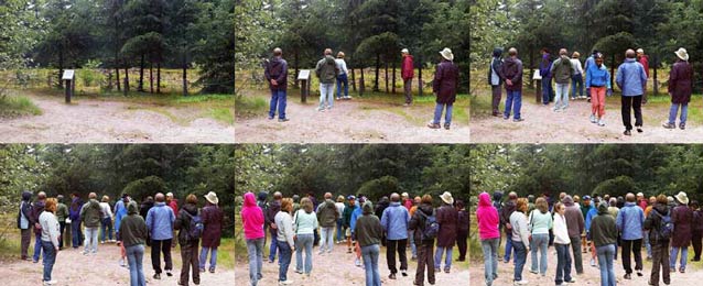 composite of six images each showing a forest with progressively more people composite of six images each showing a forest with progressively more people