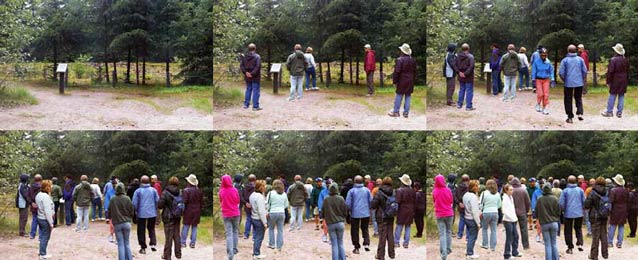 composite of six images each showing a forest with progressively more people